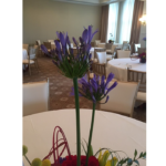 Corporate Events | Floral Express Little Rock