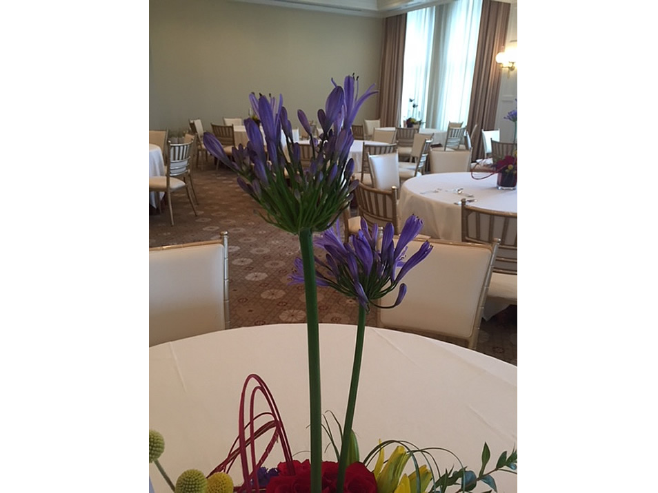 Corporate Events | Floral Express Little Rock