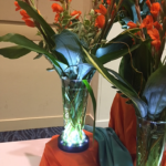 Corporate Events | Floral Express Little Rock