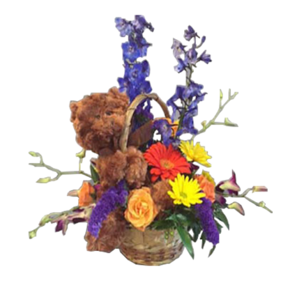 Happy Bear Basket | Floral Express Little Rock