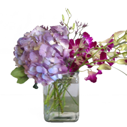 Blooms in a Cube | Floral Express Little Rock