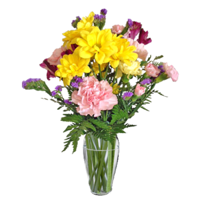 Daisy Days | Floral Express Little Rock