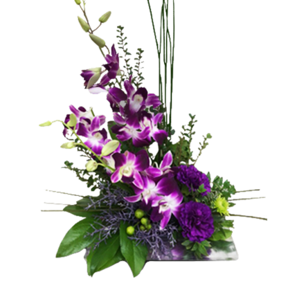 Orchid Delight | Floral Express Little Rock