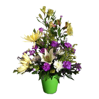 Special Garden | Floral Express Little Rock