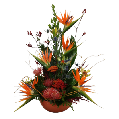 Tropical Sunset | Floral Express Little Rock