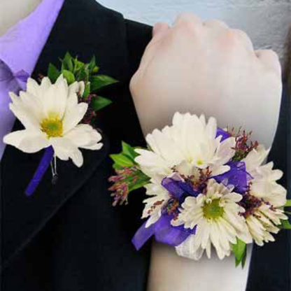 Daisies & Purple