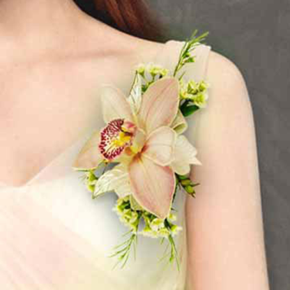 Orchid on the Shoulder