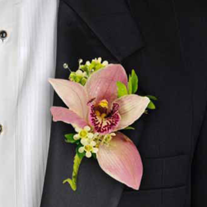 Orchid & Waxflower