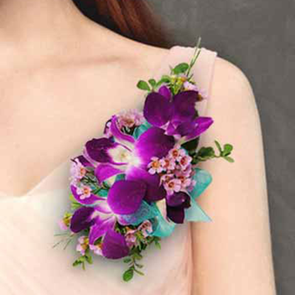 Purple Orchids