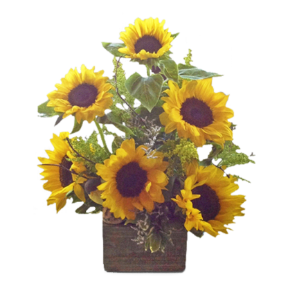 Sunny Sunflowers | Floral Express Little Rock