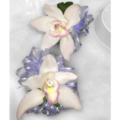 Simple Orchids