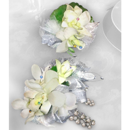 Silver & Jewels