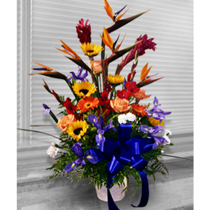 Vibrant Sympathy