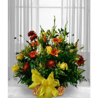 Autumn Colored Sympathy