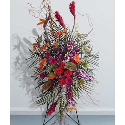 Wistful Tropicals