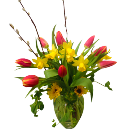 Touch of Spring | Floral Express Little Rock