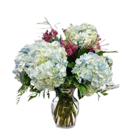 Hydrangeas Abound | Floral Express Little Rock