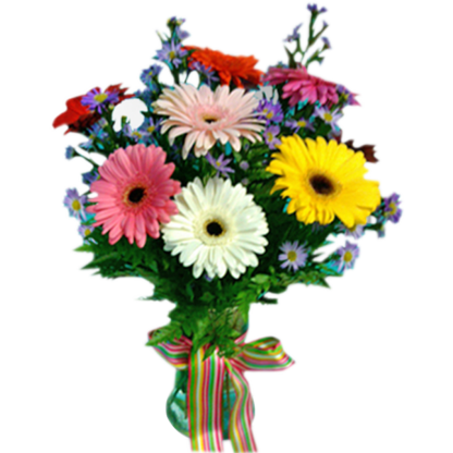 Have Gerbera Day! | Floral Express Little Rock