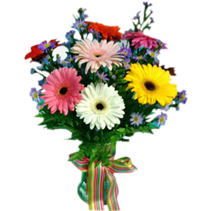 Have Gerbera Day!