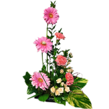Hi-Style Pinks | Floral Express Little Rock