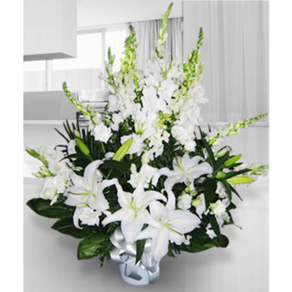 Sympathy in White