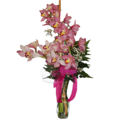 Cymbidium Orchid Vase