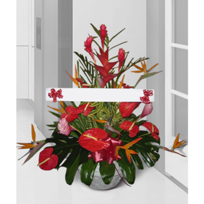 Tropical Sympathy | Floral Express Little Rock