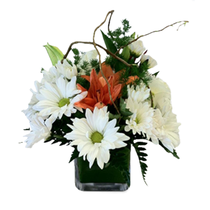 Sheltered Lilies | Floral Express Little Rock