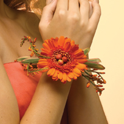 Gerbera with Berries
