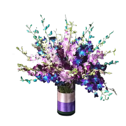Gala Of Orchids