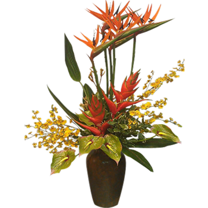 Exquisite Tropicals | Floral Express Little Rock