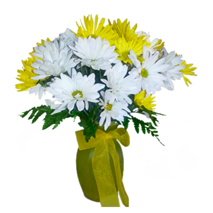 Pick A Daisy | Floral Express Little Rock