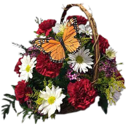 Butterfly Basket | Floral Express Little Rock