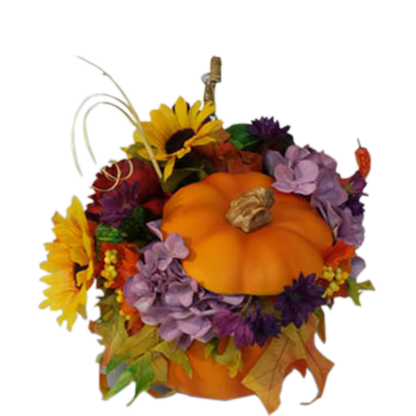 Autumn Pumpkin | Floral Express Little Rock