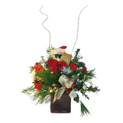 Christmas Cube | Floral Express Little Rock
