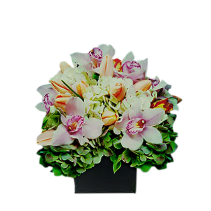 Spring Elegance | Floral Express Little Rock
