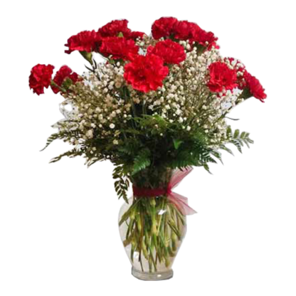 Captivating Carnations | Floral Express Little Rock