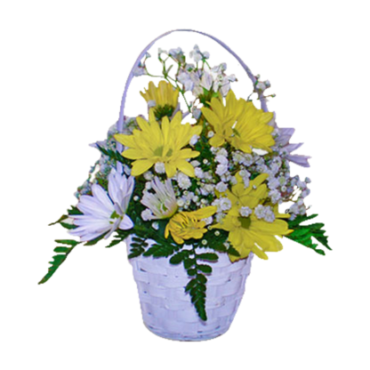 Daisy Sunshine | Floral Express Little Rock