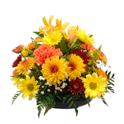 All Around Autumn | Floral Express Little Rock