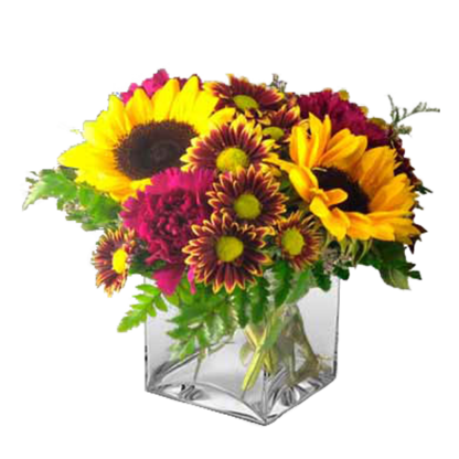 Summer Bright | Floral Express Little Rock