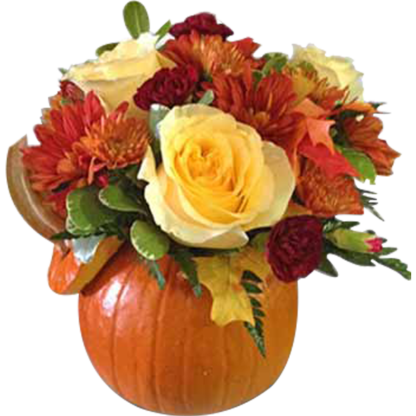 My Pretty Pumpkin | Floral Express Little Rock