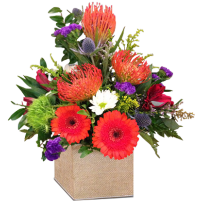 Protea on Parade | Floral Express Little Rock
