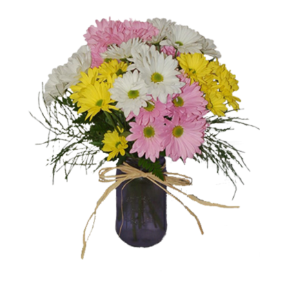 Daisy Jar | Floral Express Little Rock
