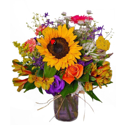Dazzling Sunflower | Floral Express Little Rock