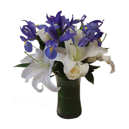 Blue and White Delight