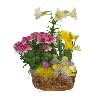 Easter Garden | Floral Express Little Rock