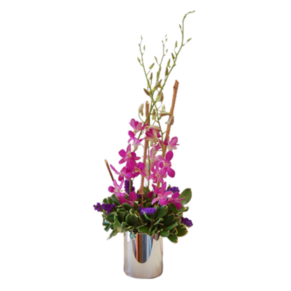 Elegant Dendros | Floral Express Little Rock