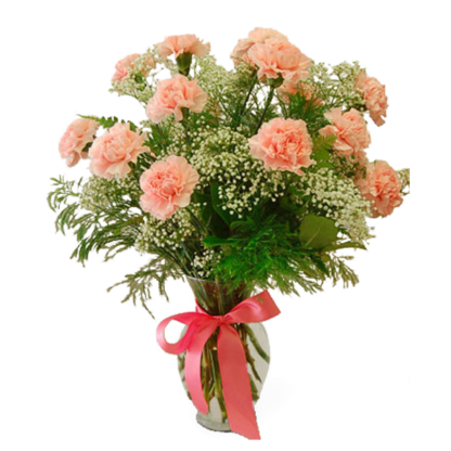 Carnation Favorite | Floral Express Little Rock