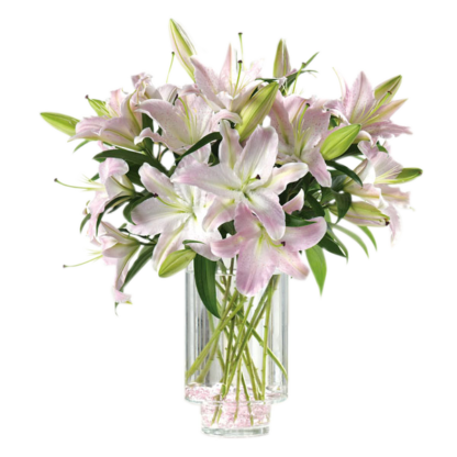 Ooh-La-La Lilies | Floral Express Little Rock