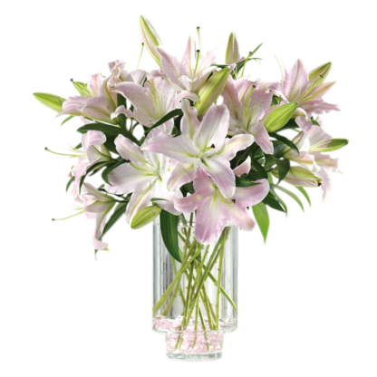 Ooh-La-La Lilies